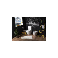 Бачок для напольного унитаза Aquanet CETUS-C2 слив 4.5/3 л, подключение снизу 00203343