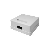 Компьютерная розетка SUPRLAN 8P8C /RJ-45/, UTP, Cat.5e, 2 порта 10-0309