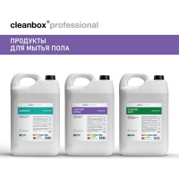 Индустриальный обезжириватель CleanBox Professional Fortis (Фортис) моющее средство 5 л 13135