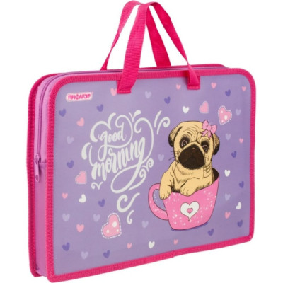 Папка Пифагор Pug 270330