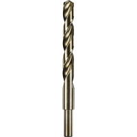 AEG Сверло HSS-G 1шт.13mm AAKHSSG13 4932479320