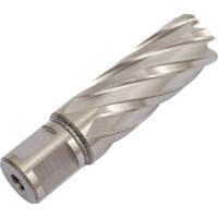 Сверло корончатое HSS по металлу (22х55/88 мм; Weldon 19) D.BOR CD-HSS-055-022-W
