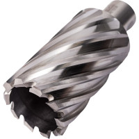 Фреза кольцевая HSS (36x55 мм; Weldon 19) ROTORICA RT.4215036