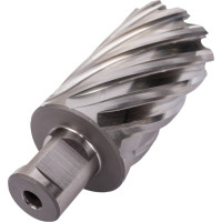 Фреза кольцевая HSS (36x55 мм; Weldon 19) ROTORICA RT.4215036