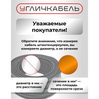 Кабель ВВГ-Пнг(А)-LS 2x2,5ок(N)-0,66 Угличкабель (бухта 100м) P161020D2000110-10