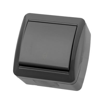 Выключатель на 2 направления одноклавишный накладной, серый IP44 TDM ELECTRIC 10А серия "Селигер" SQ1818-0111