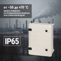 Антивандальный щит TDM ELECTRIC ЩПМП-1-1, GRP, IP65, IK10, -50 С до +70 С, навесной, 400х300х170 SQ0925-0204