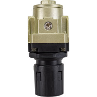 Регулятор давления с манометром профи 1/4" AR3000-02 Pegas pneumatic 4601Б