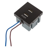Розетка 2USB LIVOLO с блоком питания 2.1А 5В для рамки, цвет черный (механизм) AM-2USB-12