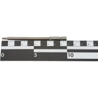 Насадки TORX T10, T25, 2 шт DRAUMET 8082