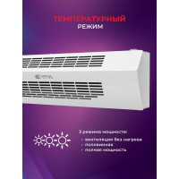 Электрическая завеса Royal Clima  HEATGUARD RAH-HG1.0E6M