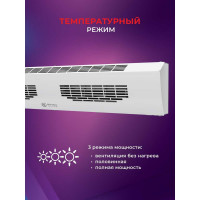 Электрическая завеса Royal Clima  HEATGUARD RAH-HG0.6E3M