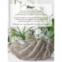 Керамическая ручка для мебели Blumen Haus Череп цвет церный, рисунок цветной 66165