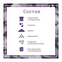 Набор для выращивания растений Вырасти,Дерево! Базилик фиолетовый zk-123