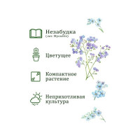 Набор для выращивания растений Вырасти,Дерево! Незабудка zk-125