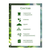 Подарочный набор для выращивания растений Вырасти,Дерево! Гардения жасминовидная zk-111