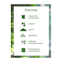 Подарочный набор для выращивания растений Вырасти,Дерево! Глоксиния гибридная zk-112