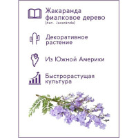 Набор для выращивания растений Тысяча листьев Фиалковое дерево Жакаранда tl-003