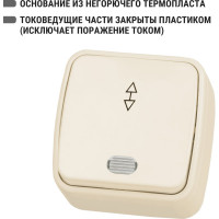 Переключатель слоновая кость на 2 направления 1-клавишный открытой устан с подсветкой TDM ELECTRIC IP20 10А, серия "Дача" Народная SQ1824-0019