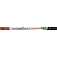 Светодиодный светильник Jazzway PPG T5i-600 Agro 8Вт IP20 для растений красный/синий спектр 5025936