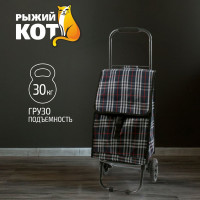 Тележка с сумкой Рыжий кот D203ECO Tartan 30 кг 00 2250