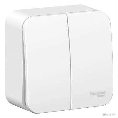 Двухклавишный выключатель Schneider Electric BLANCA BLNVA105002