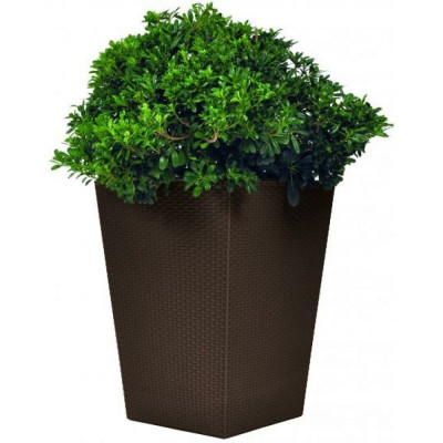 Кашпо Keter Rattan Planter 228975