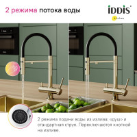 IDDIS Смеситель для кухни с фильтром и гибким изливом матовое золото ace ACEMGFFi05