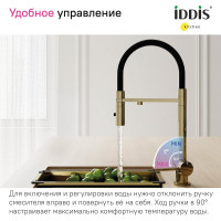 IDDIS Смеситель для кухни с фильтром и гибким изливом матовое золото ace ACEMGFFi05