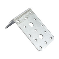 Перфорированный уголок ALBERTS оцинкованный, 100х60х60х2,5 мм 330149