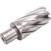 Сверло корончатое HSS по металлу (32х55/88 мм; Weldon 19) D.BOR CD-HSS-055-032-W
