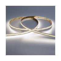Светодиодная лента Wolta Decor SMD2835 24Вт 6500К Холодный белый свет 24В IP20 240led/m 10 мм, 5 м WLS2835-24W/6500/24H240-01