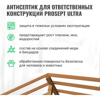 Антисептик PROSEPT ULTRA невымываемый, концентрат 1:10, 1 л 061-1