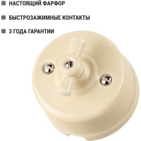 Поворотный выключатель TDM ELECTRIC фарфоровый с ручкой бантик 10А слоновая кость «Болонь» SQ1820-0310