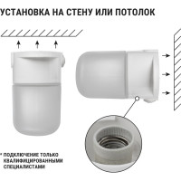 Настенно-потолочный светильник TDM ELECTRIC НПБ400П белый, IP54, 60 Вт, основание-поликарбонат, Народный SQ0303-1501