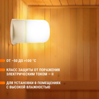 Настенно-потолочный светильник TDM ELECTRIC НПБ400П белый, IP54, 60 Вт, основание-поликарбонат, Народный SQ0303-1501