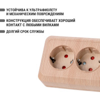 Двойная угловая розетка TDM ELECTRIC 2П+3 открытой установки с защитными шторками IP20 250В 16А сосна "Ладога" SQ1801-0443