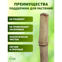 Бамбуковая поддержка GREEN APPLE GBS-8-75 75 см, 8 мм, 5 шт Б0008330
