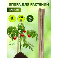 Бамбуковая поддержка GREEN APPLE GBS-8-75 75 см, 8 мм, 5 шт Б0008330