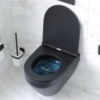 Подвесной унитаз AM.PM Spirit V2.0 FlashClean с сиденьем микролифт, черный матовый C701700MBSC