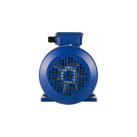 Электродвигатель 5АИ 100 L4 4/1500 IM 1081 01.01.213680