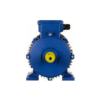 Электродвигатель 5АИ 100 L4 4/1500 IM 1081 01.01.213680