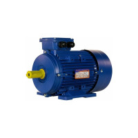 Электродвигатель 5АИ 100 L4 4/1500 IM 1081 01.01.213680