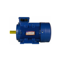 Электродвигатель 5АИ 100 L4 4/1500 IM 1081 01.01.213680