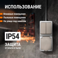 Блок комбинированный TDM ELECTRIC вертикальный выключатель 2-кл. + розетка 2П+З с з/ш БКВР IP54 "Вуокса" SQ1803-0013