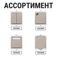 Блок комбинированный TDM ELECTRIC вертикальный выключатель 2-кл. + розетка 2П+З с з/ш БКВР IP54 "Вуокса" SQ1803-0013