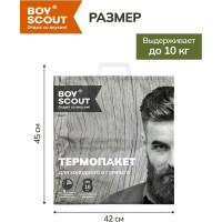 Термопакет BOYSCOUT, 42х45 см, пластиковая ручка, Мах нагрузка до 10 кг  61435