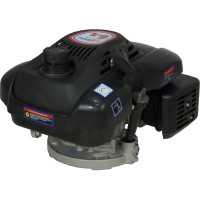 Двигатель LIFAN 1P70FV-3B D22 00-00000527