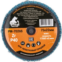Круг лепестковый торцевой по металлу (75х22 мм; Р40; крепление Roloc) Русский Мастер РМ-70266