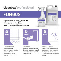 Средство для удаления плесени, грибка, отбеливающий спрей антиплесень CleanBox Professional Fungus (Фангус) 0,5л 133205